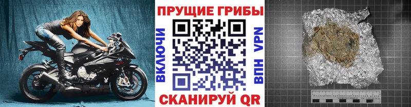 hydra tor  Спас-Клепики  Галлюциногенные грибы Psilocybine cubensis 