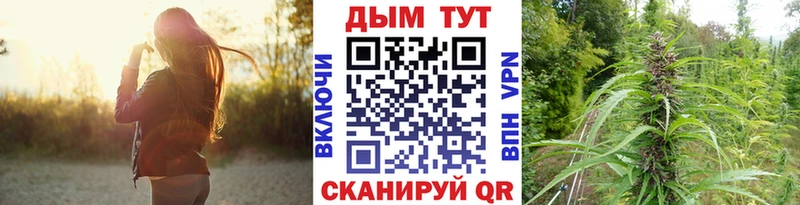 Шишки марихуана семена  Спас-Клепики 